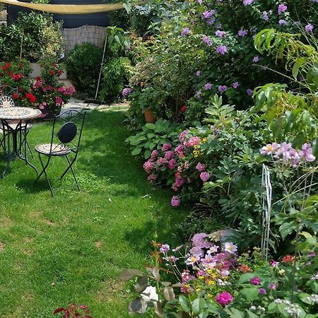 Ferienwohnung Am Berg, 35Qm Rickenbach  Buitenkant foto
