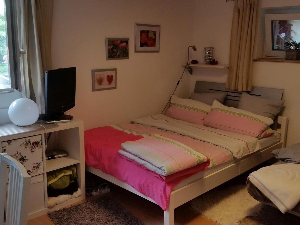 Ferienwohnung Am Berg, 35Qm Rickenbach  Buitenkant foto