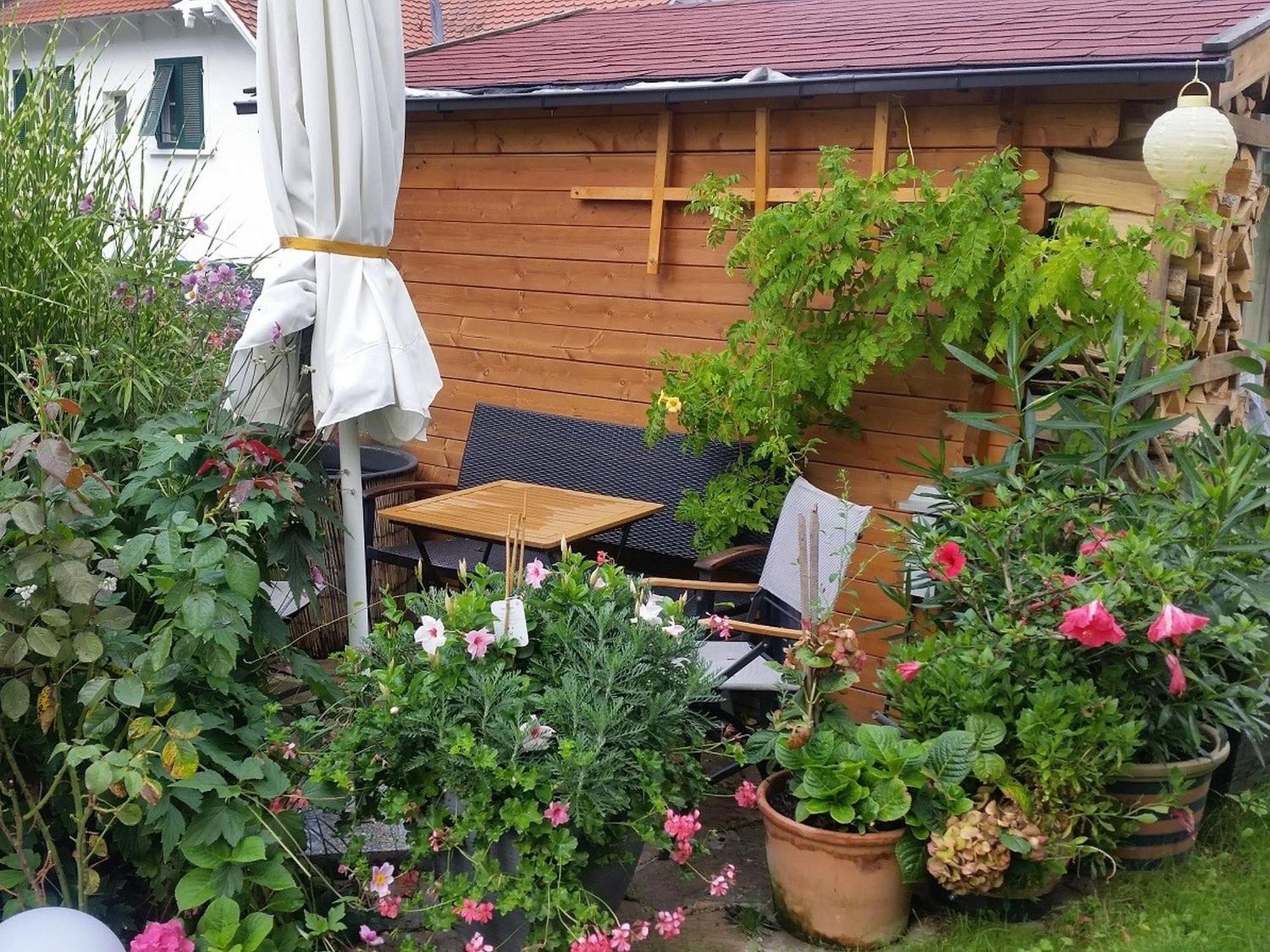 Ferienwohnung Am Berg, 35Qm Rickenbach  Buitenkant foto